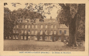 SAINT ANDRE SUR CAILLY - 76690