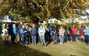 SAINT ANDRE SUR CAILLY - 76690