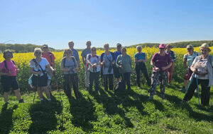 MEZIERES EN VEXIN - 27510
