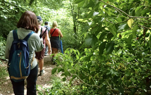 LES HAUTS DE ROUEN- TOUR DU VALLON SUISSE ET GRAND MARE