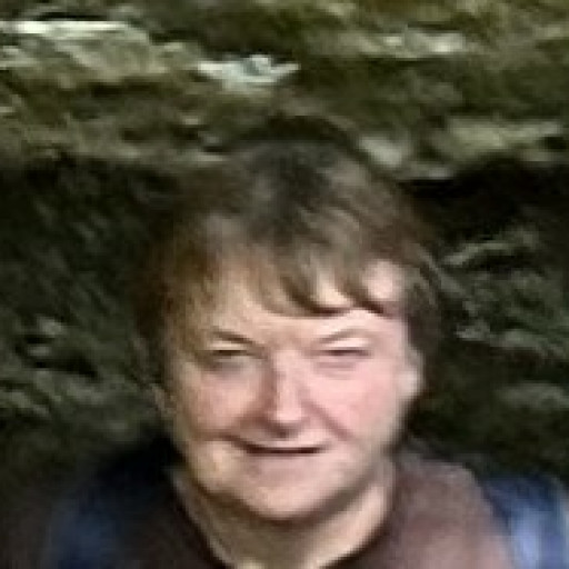 Françoise Bertot Delavoye